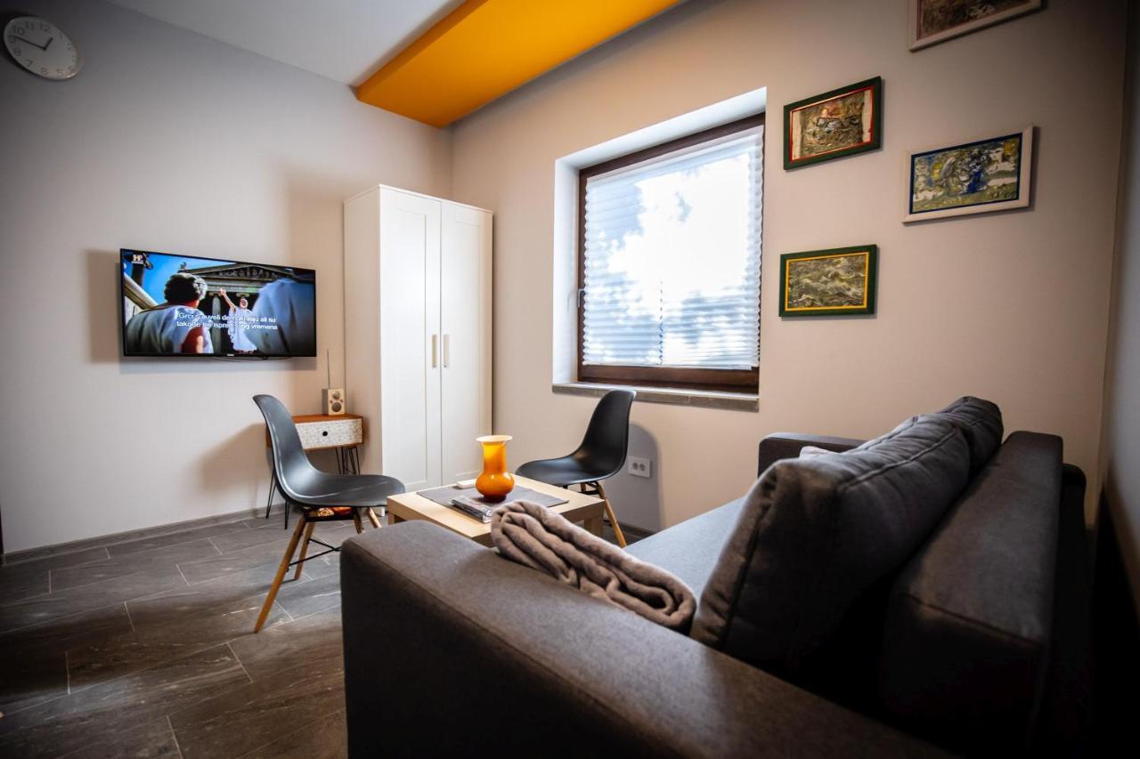 Gray Brick Apartment Subotica